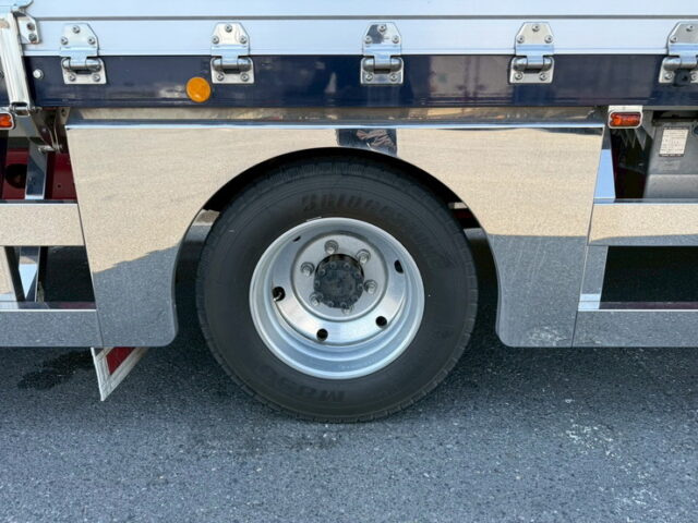 ベストワンファイター：6200セミワイド：造りボデー：ウイング：カスタム：超低走行：270馬力