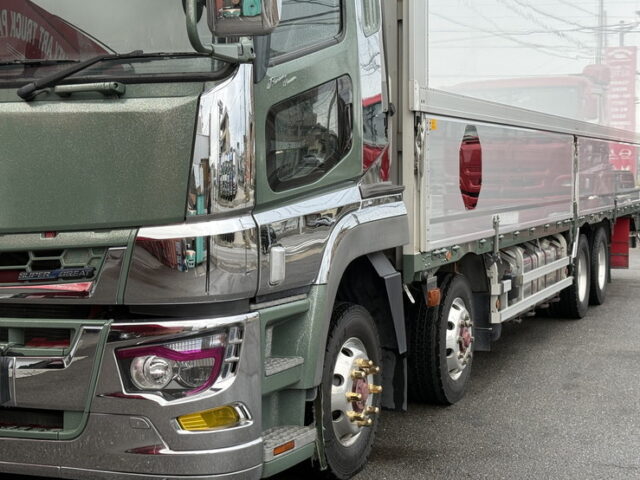 17スーパーグレート：ハイルーフ：ウィング：プレミアムラインエグゼクティブ：寝台メッキ