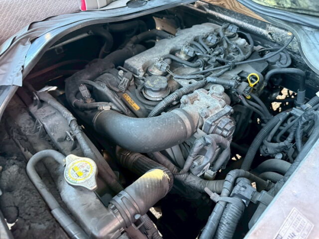 タイタンダッシュ：平ボデー：架装多数：標準幅：アオリステンレス張り：マニ割り